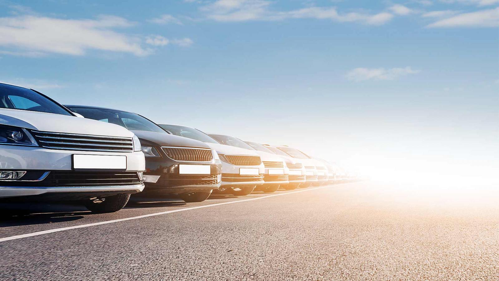 [[{photo.alt_text}]]